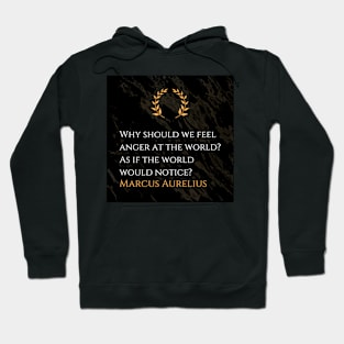 Marcus Aurelius's Reflection: Futility of Anger Towards the World Hoodie